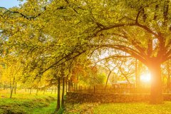 岳麓區做網站公司建站需要多長時間？